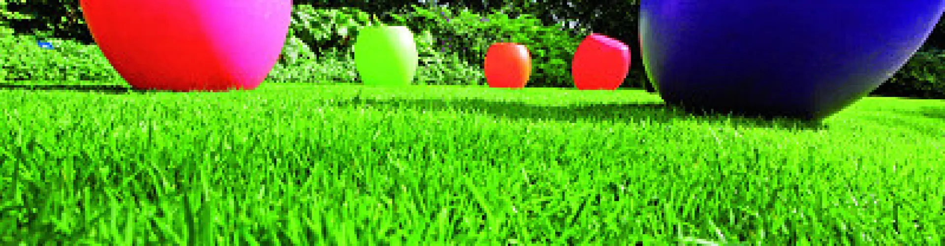 _V5U9258-Edit-2-small