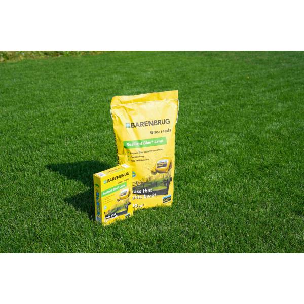 Resilient Blue Lawn 3