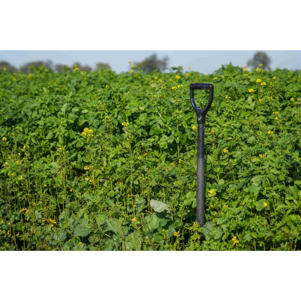 NemaProtect- Mieszanka poplonowa