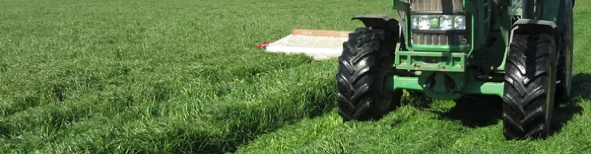 wyzsze koszenie przedluza zywotnosc traw