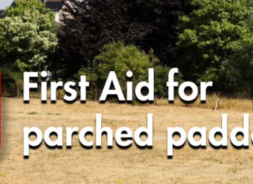 First_Aid_for_parched_paddocks-new