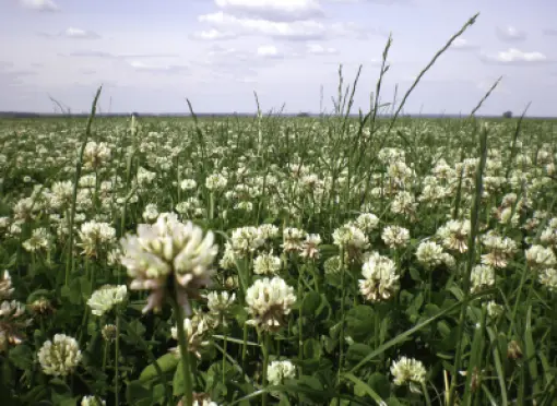 header_klaver_P7020724_0-small