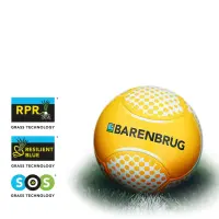 Trawy Barenbrug stanowią podstawę najlepszych boisk na Euro 2024