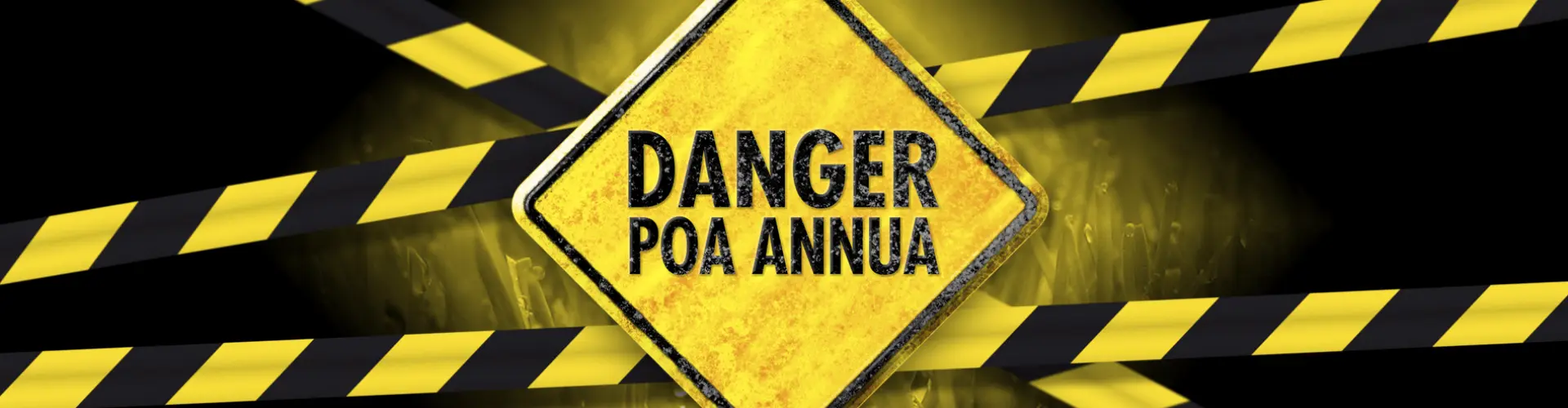 HEADER_Danger-Poa-Annua-500
