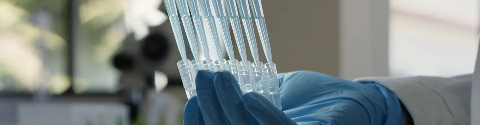 Barenbrug_Corp_pic_01