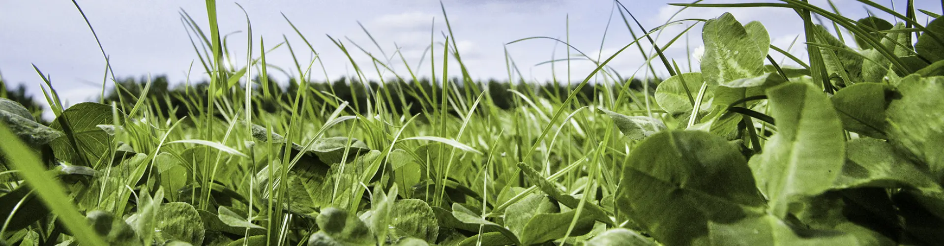 Header_challenge_solutions_protaplus_02