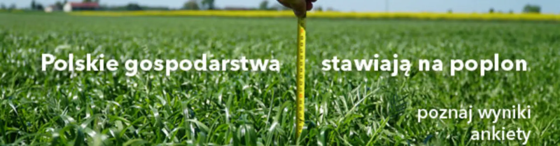 naglowek_newsletter_2