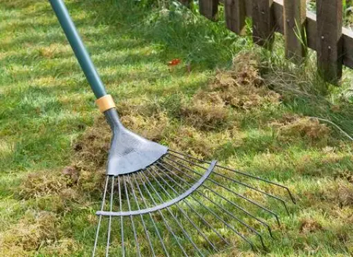 RX-DK-CGG33503_spring-tined-rake_s3x4.jpg.rend.hgtvcom.1280.1707