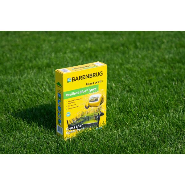Resilient Blue Lawn 1