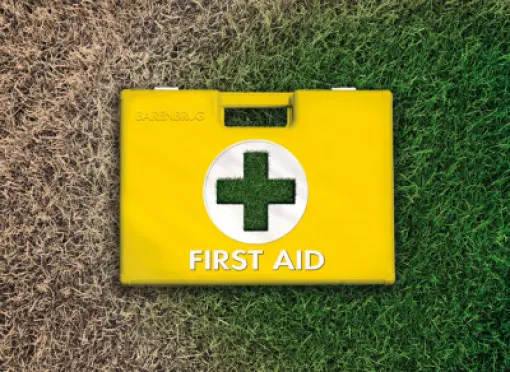 Visual_link_FirstAid-grass_900