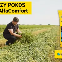 PIERWSZY POKOS – lucerna AlfaComfort | Dobre Wieś, Kujawy, 16.05.2022 |