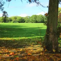 Trawy do zadań specjalnych czyli trawniki w miejscach publicznych.