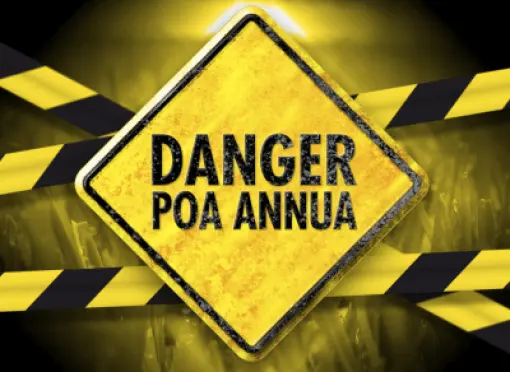 HEADER_Danger-Poa-Annua