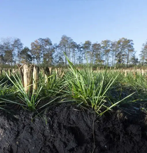 category-tile-3-510x531