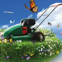 HAPPY LAWN® trawnik z kwiatami! NOWOŚĆ!