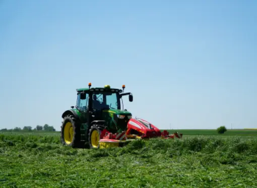 Head_challenge_solutions_how_make_the_best_first_cut-small