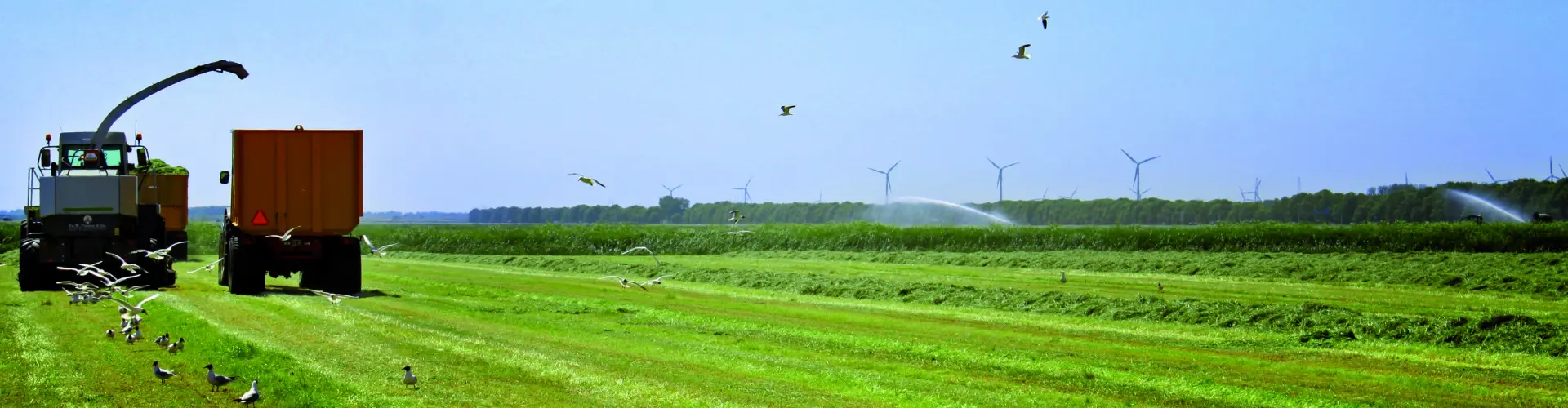 Header_NutriFibre_Drought (002)