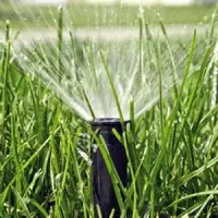 Pokonaj suszę na trawniku