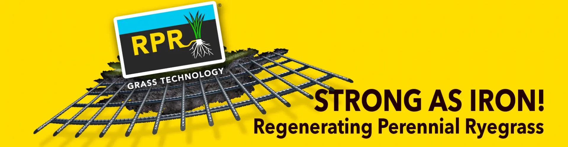 HEADER_RPR-ENG-1900x700-2024