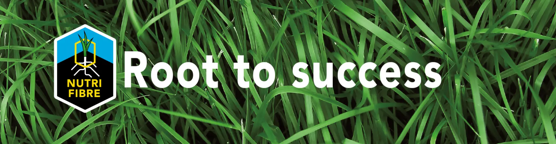 header_technology_page_nutrifibre_02