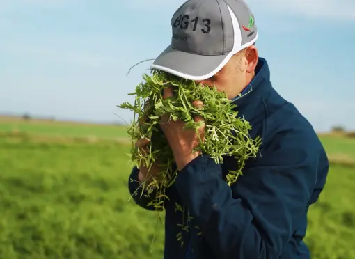 Sylwester Mieczkowski - mieszanka BG-13 Milkway Poplon