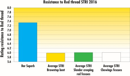 stri2016_barsuperb_redthread_en.jpg
