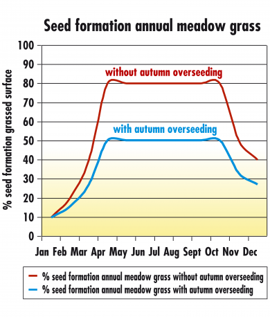 graph-seed-formation-poa-annua.png